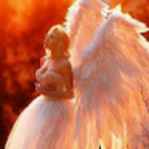 Meet your Posher, Isabella